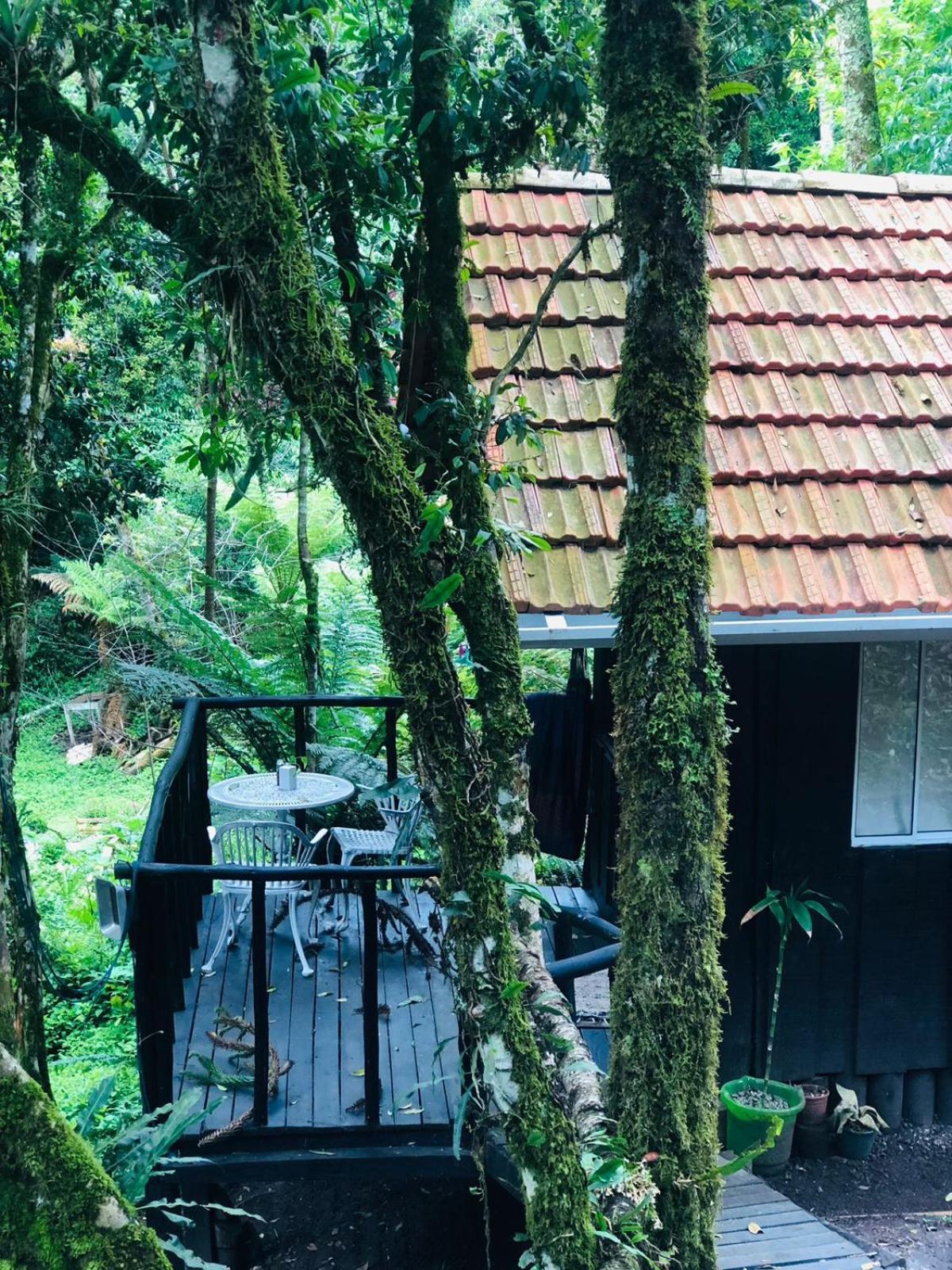 Little Cabana Com Hidromassagem Кампус-ду-Жордау Экстерьер фото